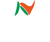 N-NET